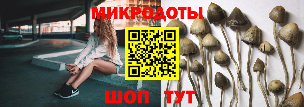 Галлюциногенные грибы Psilocybine cubensis Ростов-на-Дону